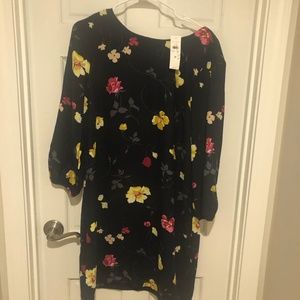Ann Taylor (NWT) Dress
